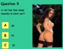 Sexy strip quiz 6